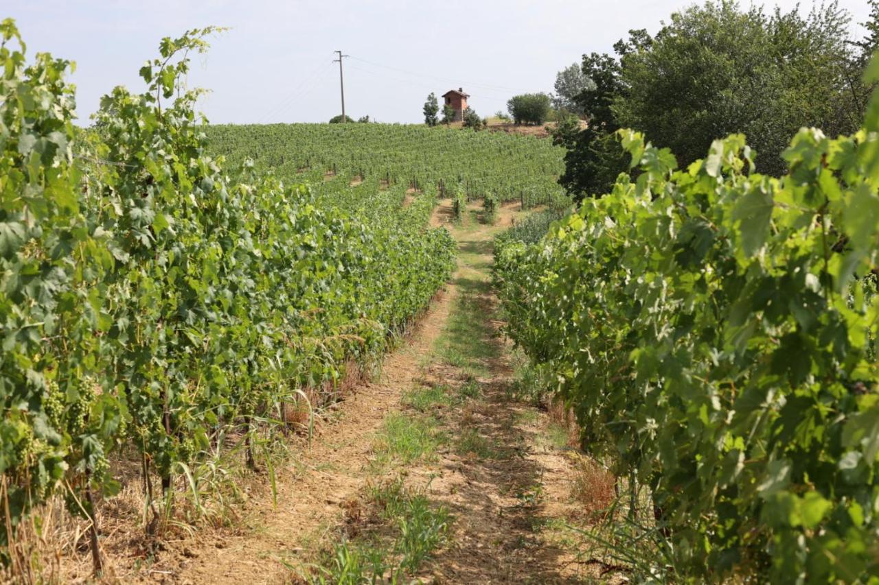 Braida Wine Resort Rocchetta Tanaro Ngoại thất bức ảnh