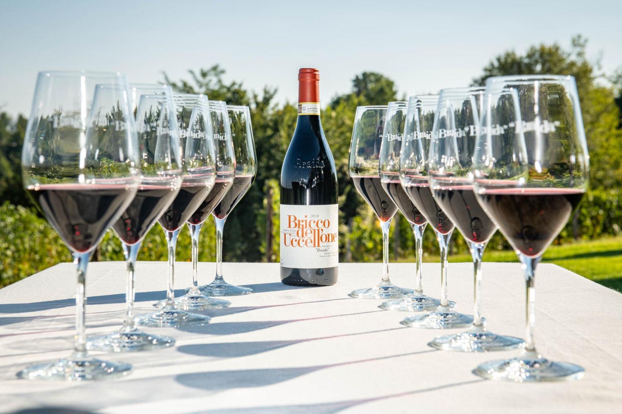 Braida Wine Resort Rocchetta Tanaro Ngoại thất bức ảnh